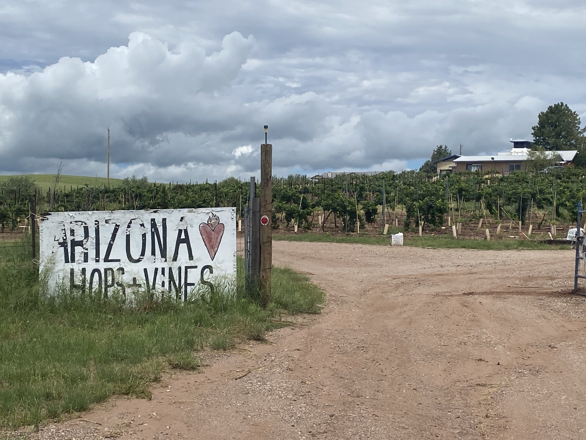 The Ultimate Elgin And Sonoita Wine Tasting Guide (2024)