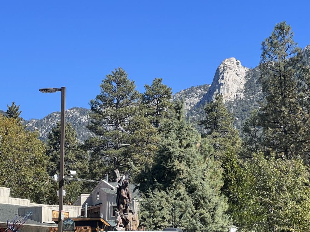 15 Fun Things To Do In Idyllwild, California (2024)