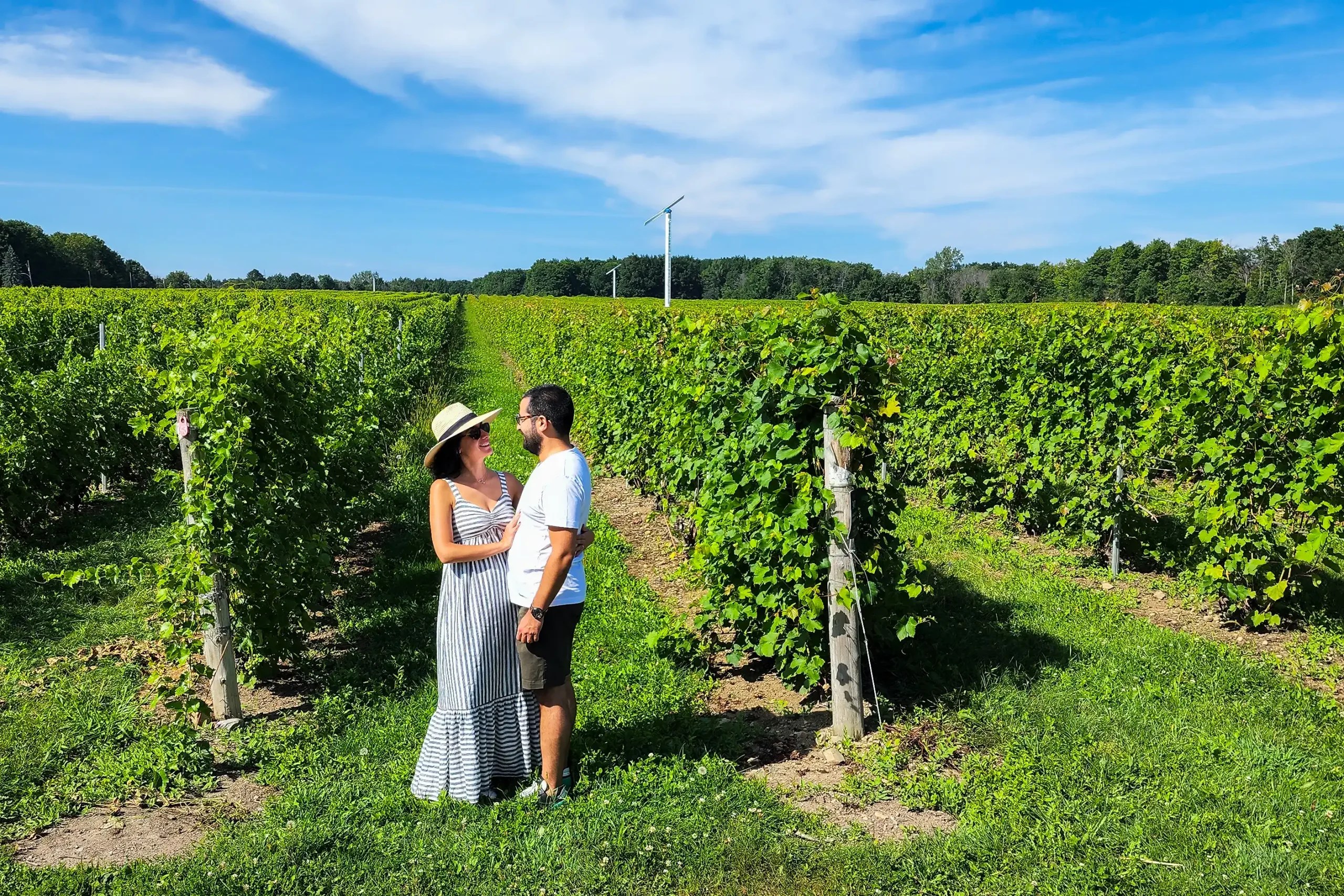 5 wineries worth a Day Trip From Montreal Discovering with Grace