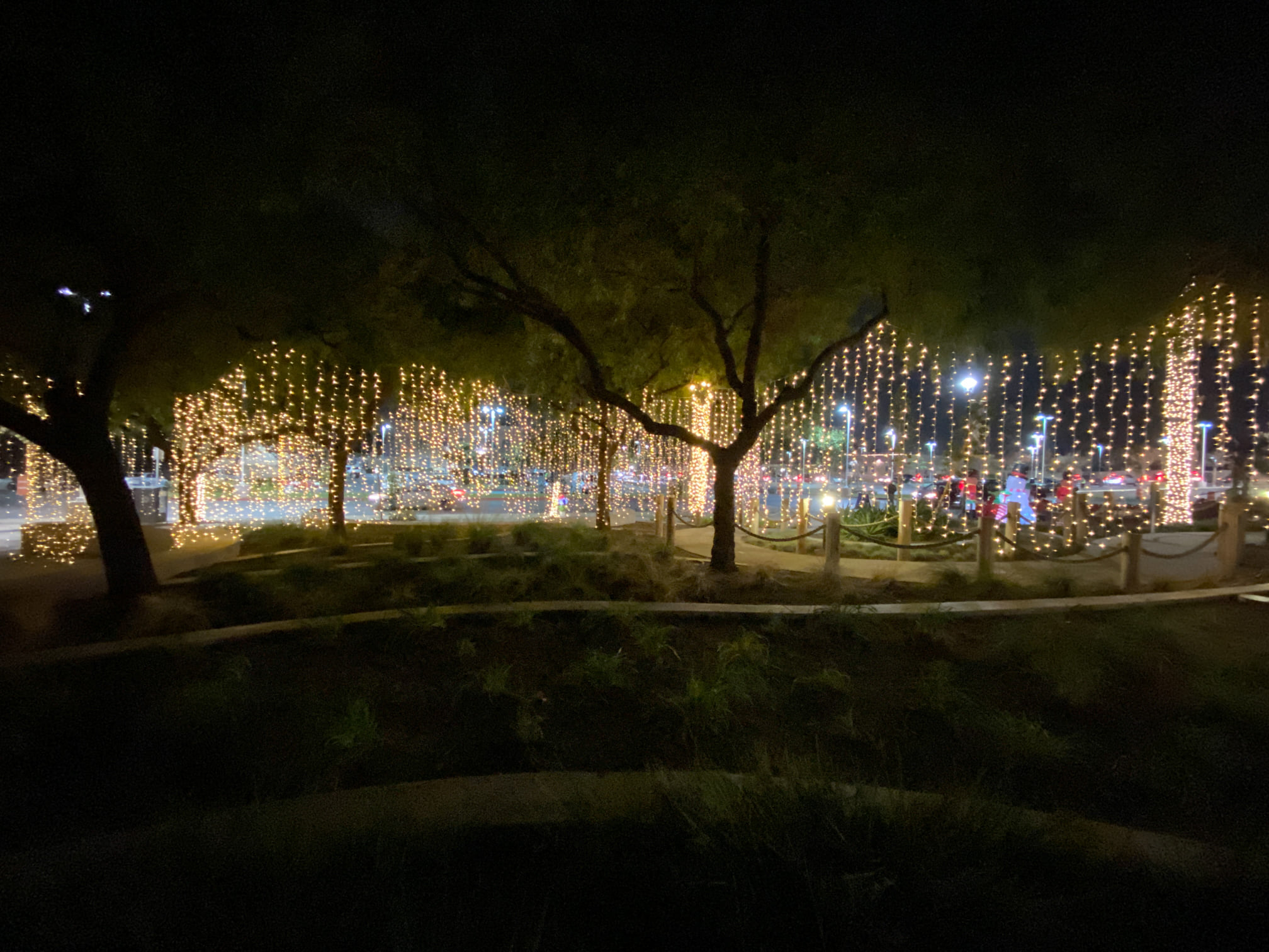 Holiday Tree Lighting DriveThru 2020 Photo Album Discover La Mirada