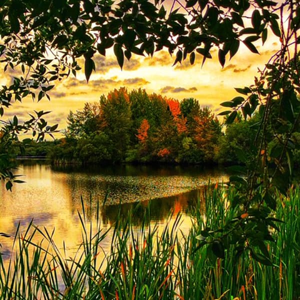 BEST FALL PHOTO SPOTS IN THE LEDUC REGION Discover Leduc Region