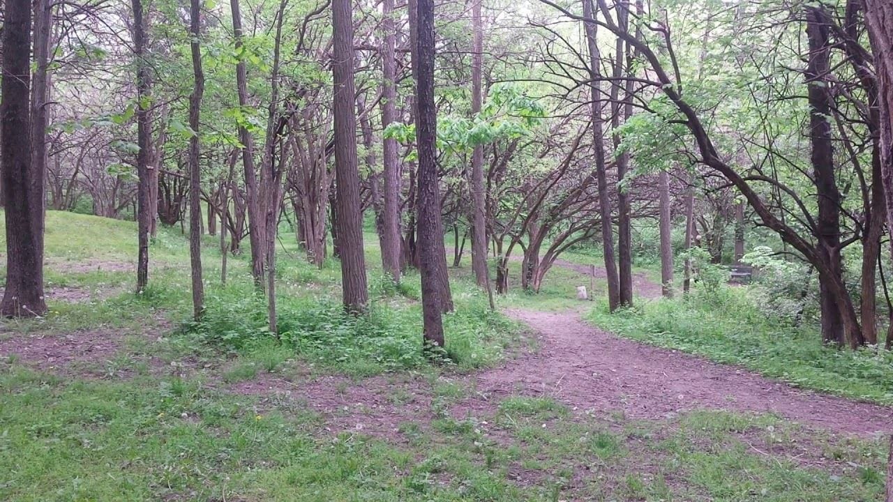 Muscatine disc golf course is open and ready for play Discover Muscatine