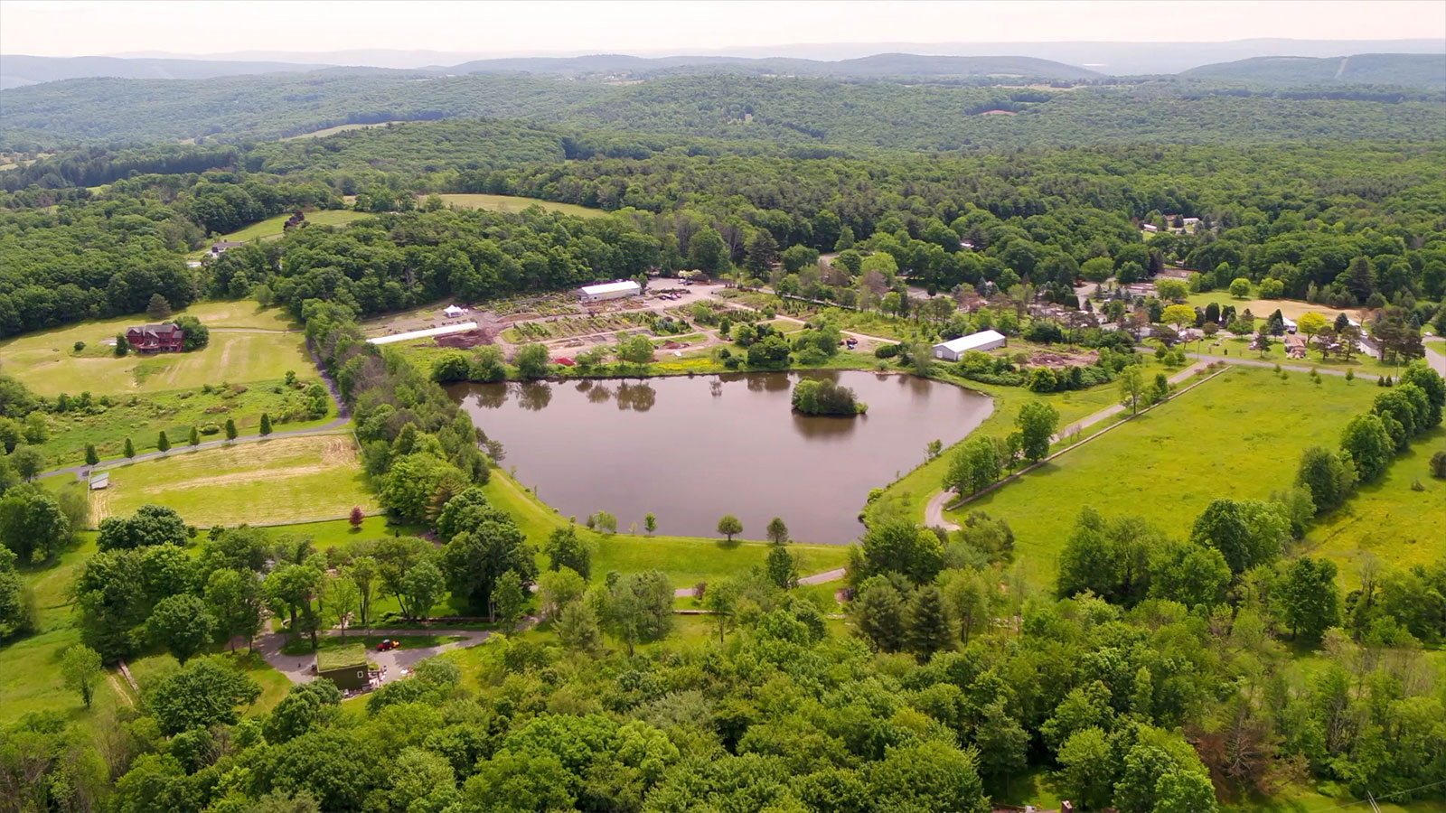 Rave Discount Plant Center & Patio Dallas, PA NEPA Local Shops