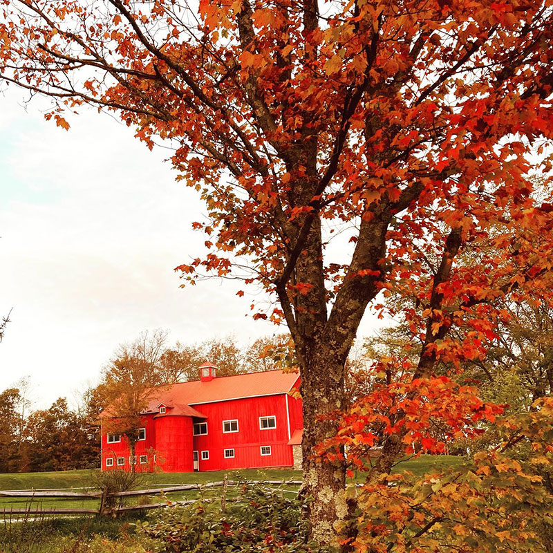 Inn at Tyler Hill Tyler Hill DiscoverNEPA