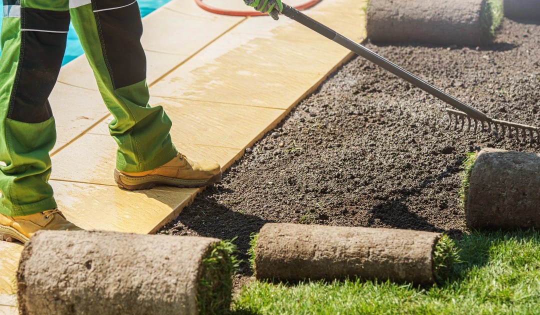 How to Prepare Ground for Turf A StepbyStep Guide Discover Paving