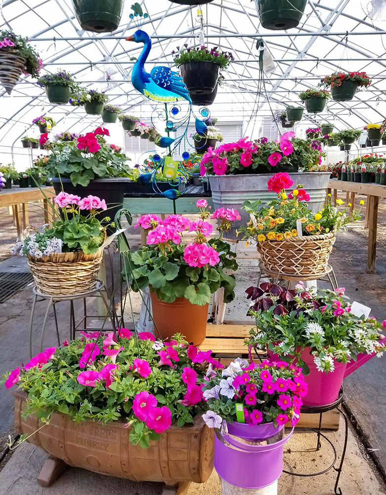 Gilmore Garden Center Discover Pocahontas CountyDiscover Pocahontas