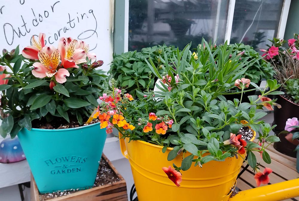 Gilmore Garden Center Discover Pocahontas CountyDiscover Pocahontas