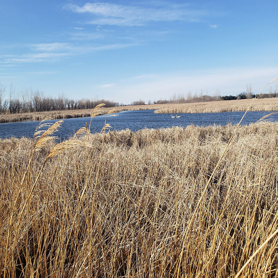 Twisted Creek Ranch Discover Pocahontas CountyDiscover Pocahontas County