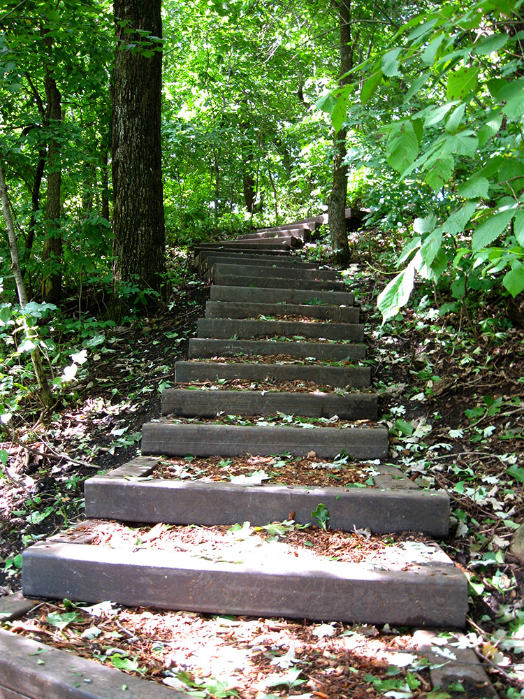 Whitetail Ridge Discover Pocahontas CountyDiscover Pocahontas County