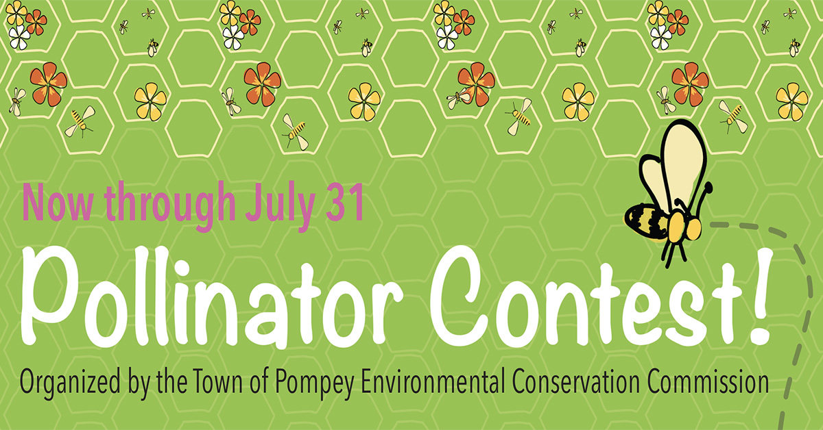 Pollinator Contest! Discover Pompey NY