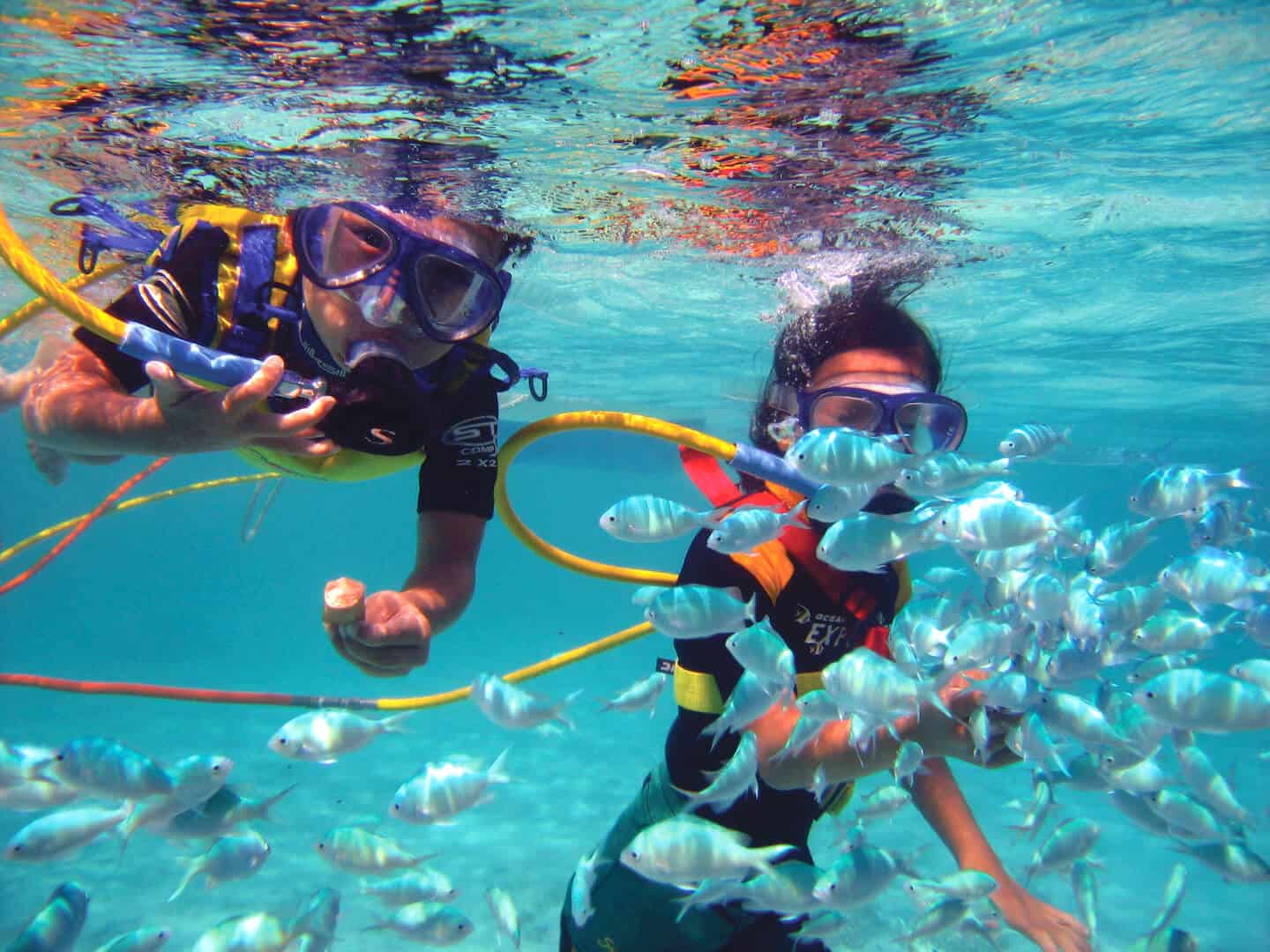 Roatan SNUBA Diving Discover Roatan™ Excursions & Tours