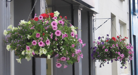 Saintfield In Bloom Discover Saintfield