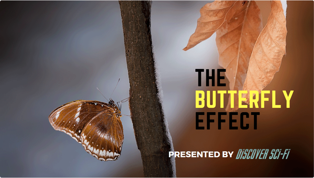 The Butterfly Effect