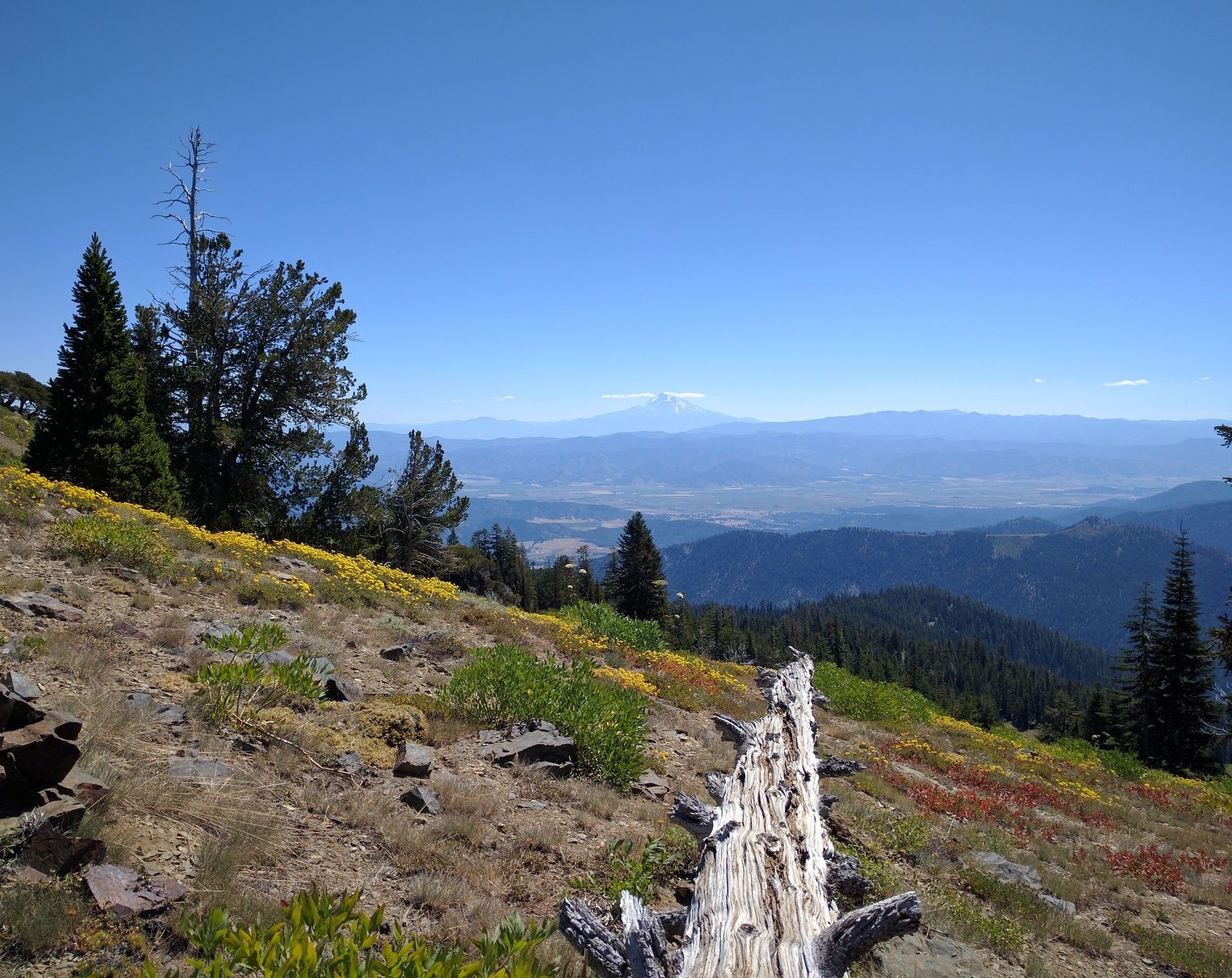Marble Mountain Wilderness Discover Siskiyou