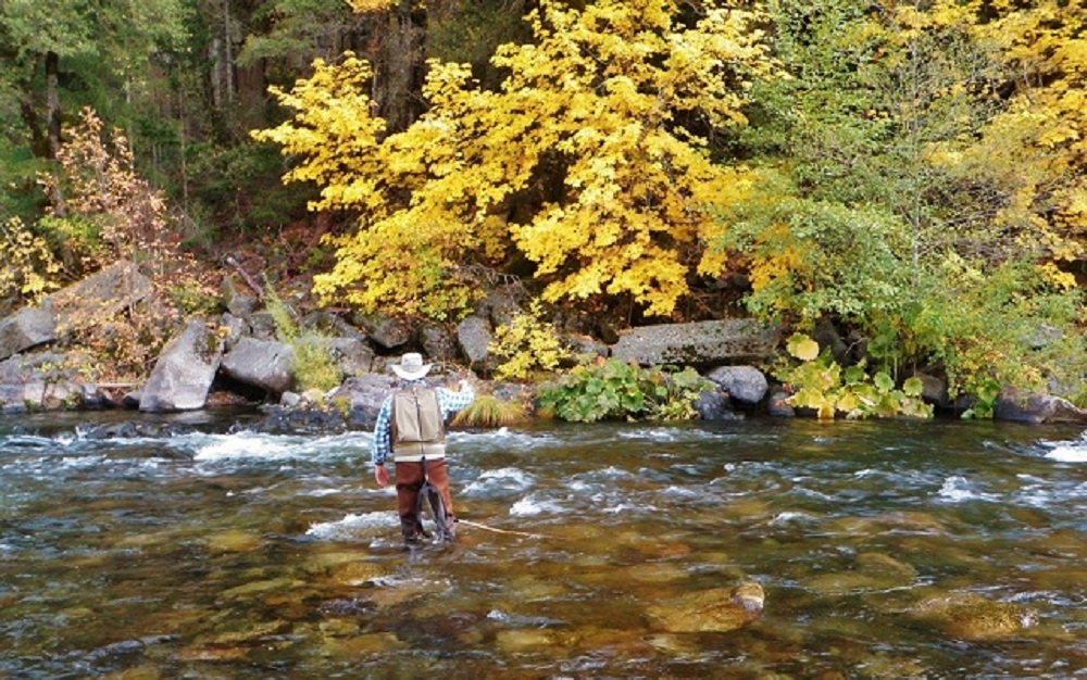 Alpine Fish & Ski Haus Discover Siskiyou