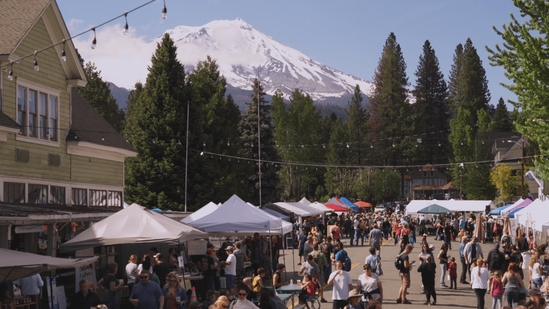 Mccloud Mushroom Festival 2023 Mccloud Mushroom Festival - Discover Siskiyou