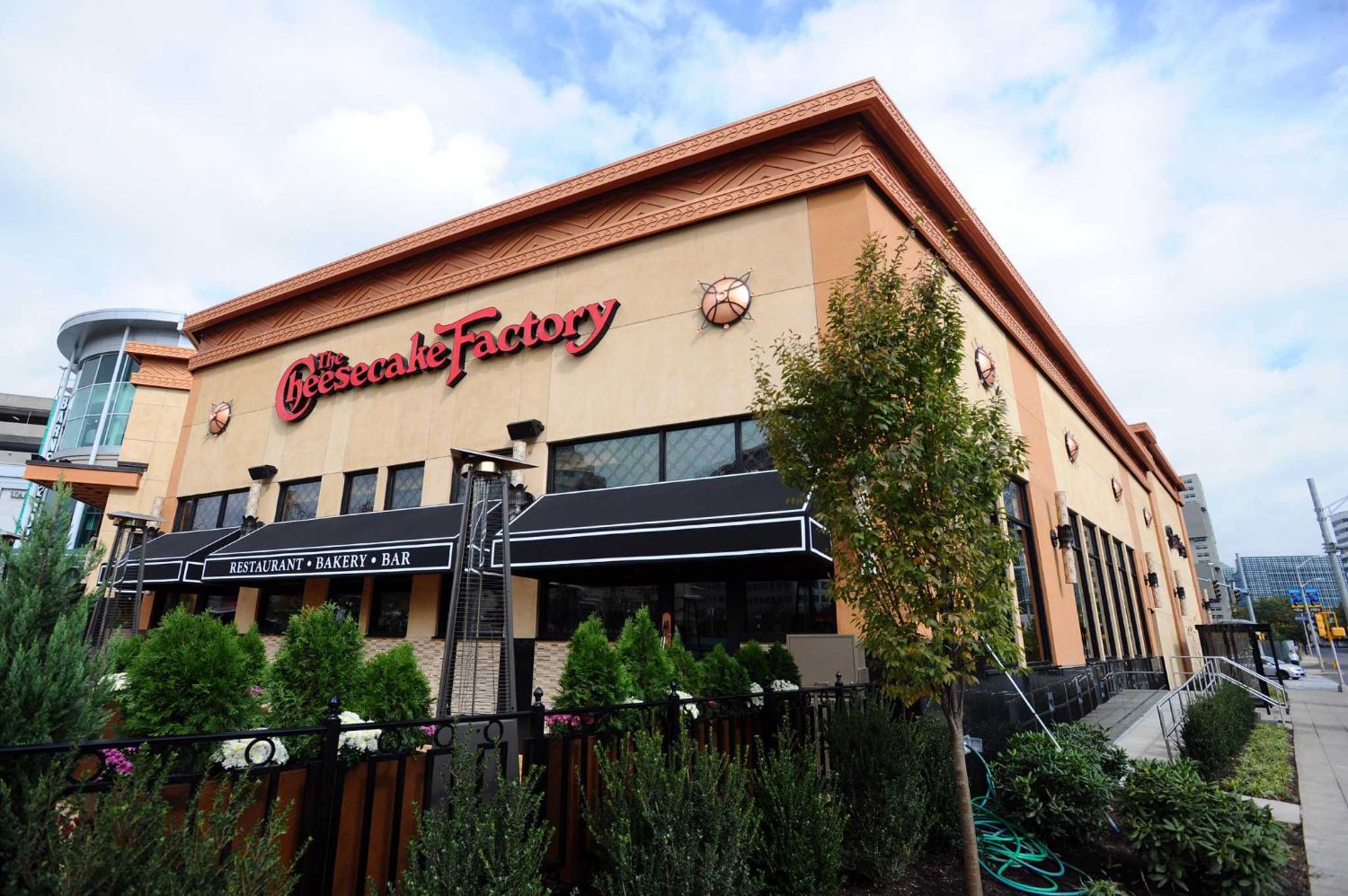 The Cheesecake Factory