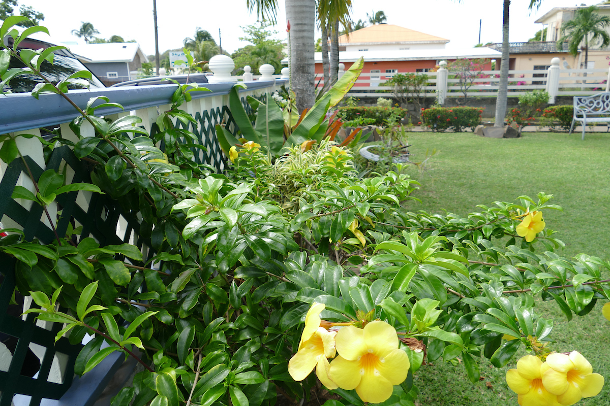 Skyblue Beach Apartment Discover SVG