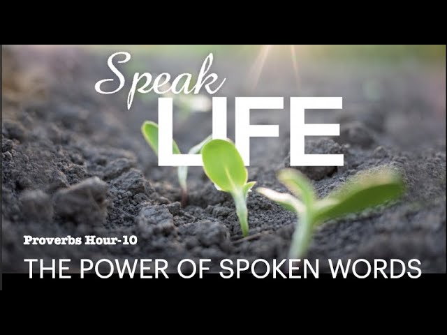 We Should Speak Life That S The Power Of Spoken Words In Your Life Today Discover The Book Ministries
