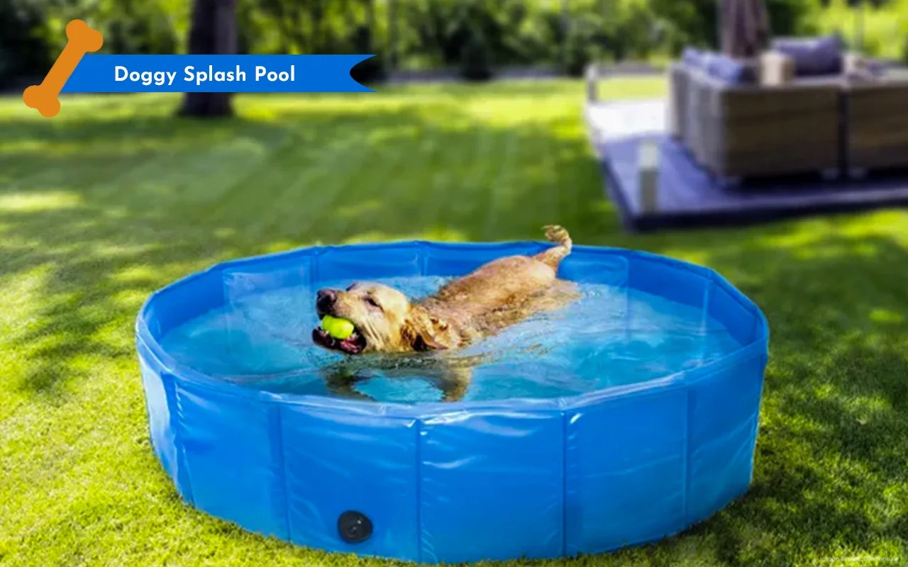 DogFriendly Landscaping for your backyard Discover the yard