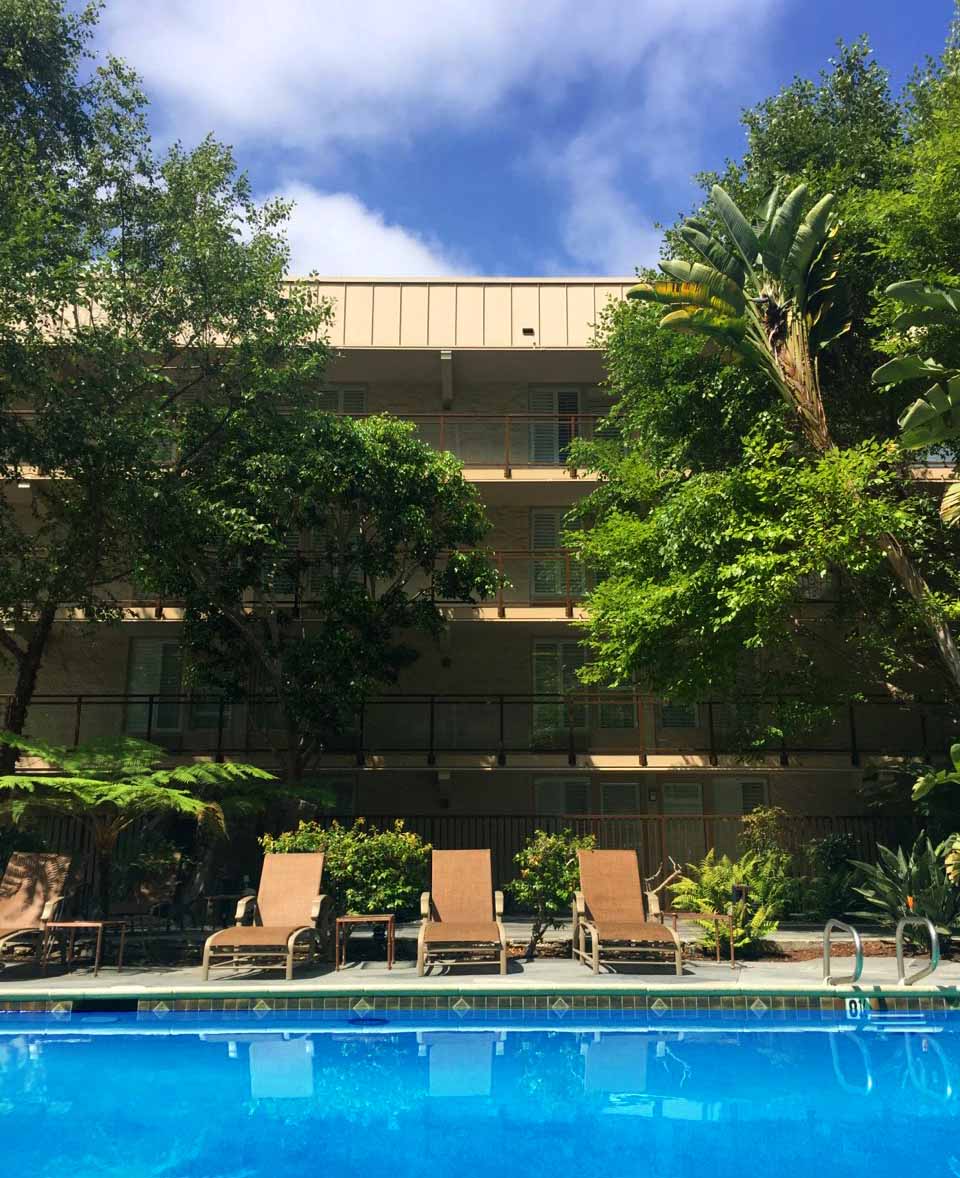 Pool time Discover Torrance