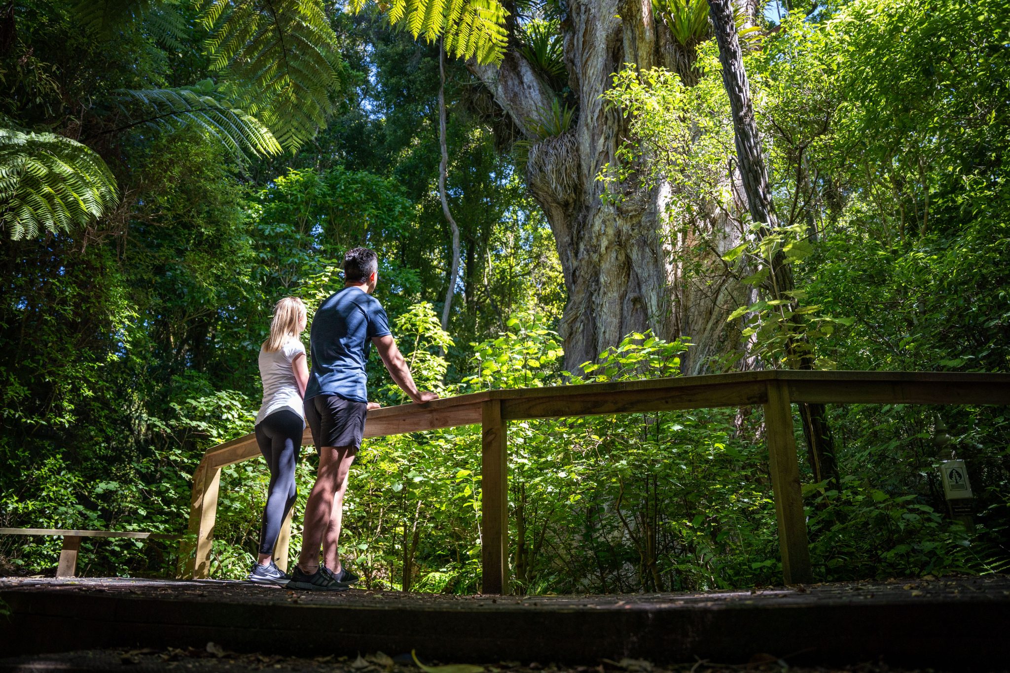 Have fun and explore in Whanganui