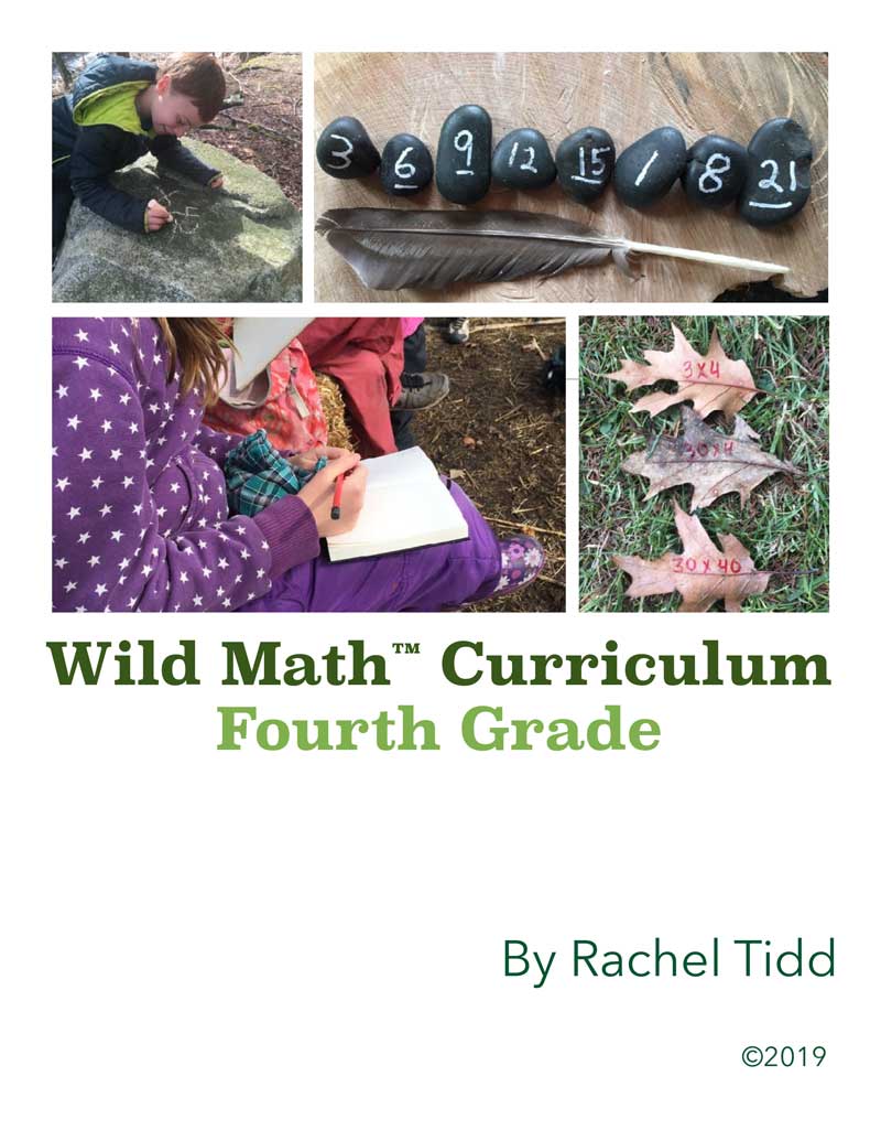 Wild Math Curriculum Fourth Grade Wild Learning