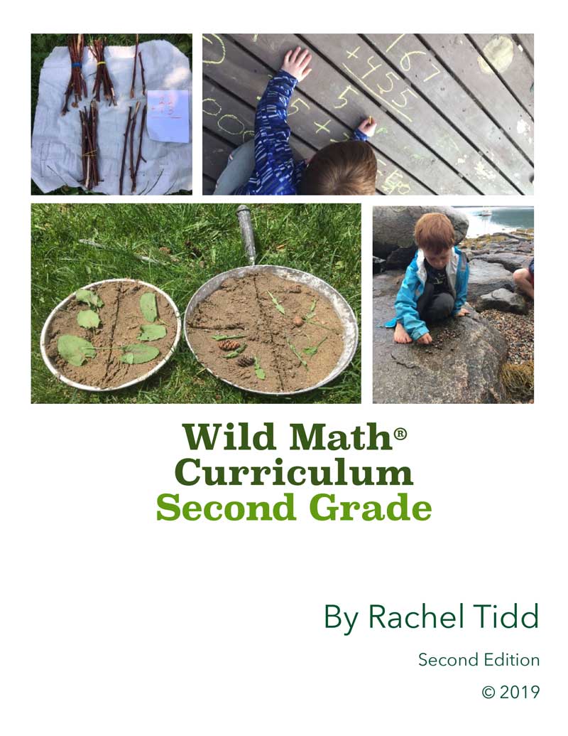 Wild Math Curriculum Second Grade Wild Learning
