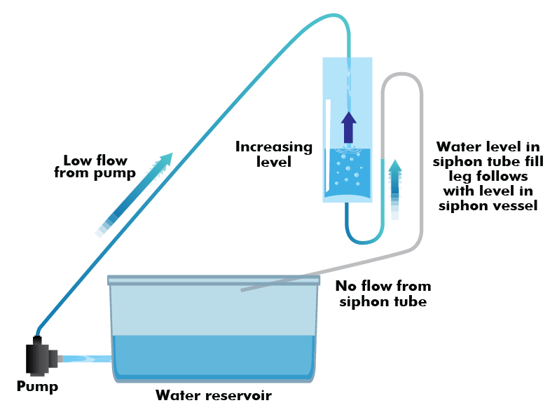 Soxhlet Extraction Siphon Discovery Center