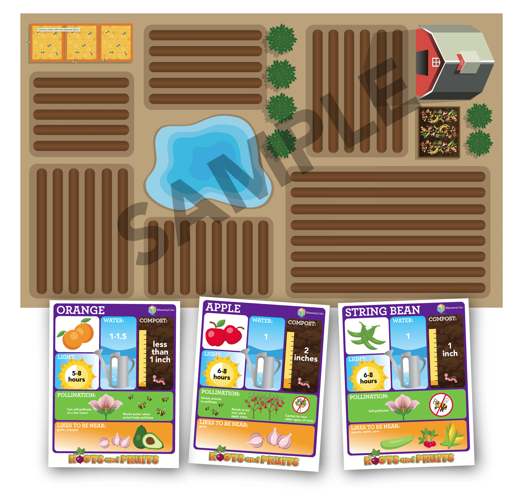 Roots and Fruits Field Trip Activity Discovery Cube Connect