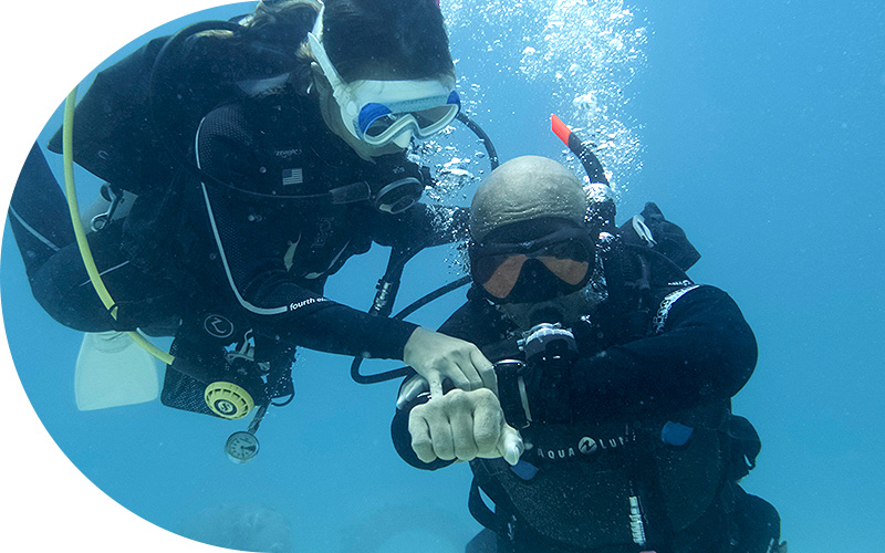 Dive Courses Koh Samui Diving Prices Discovery Dive Center
