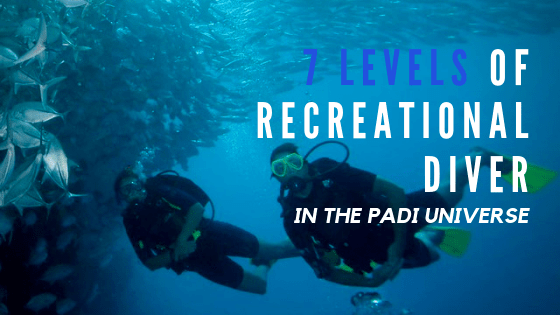 What are the PADI certification levels? - Discovery Dive Center - Koh