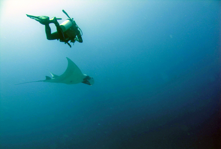 Scuba Diving Gallery Discovery Dive Center Koh Samui Diving
