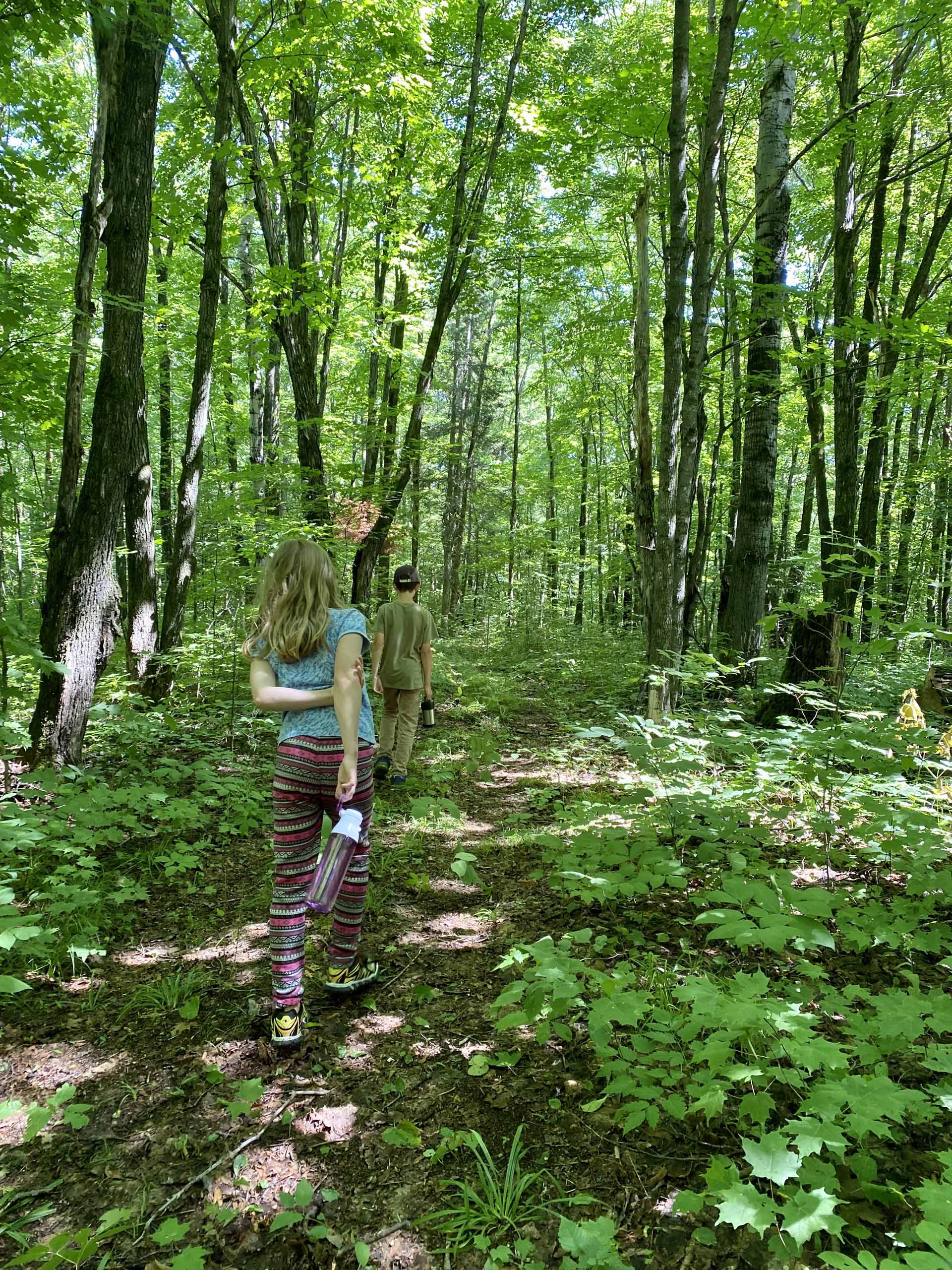 Laporte Walking Trail Discovery Routes