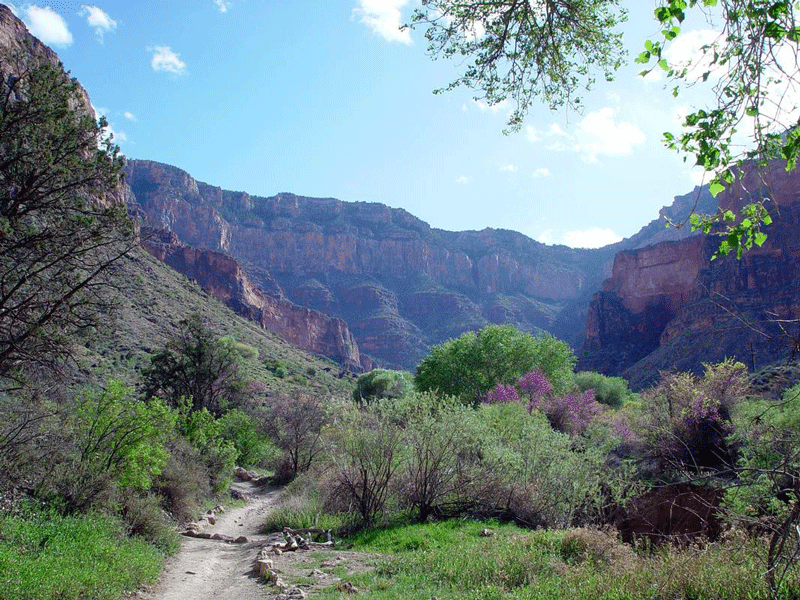 Grand Canyon Indian Gardens Hike Backpacking Tour Discovery Treks