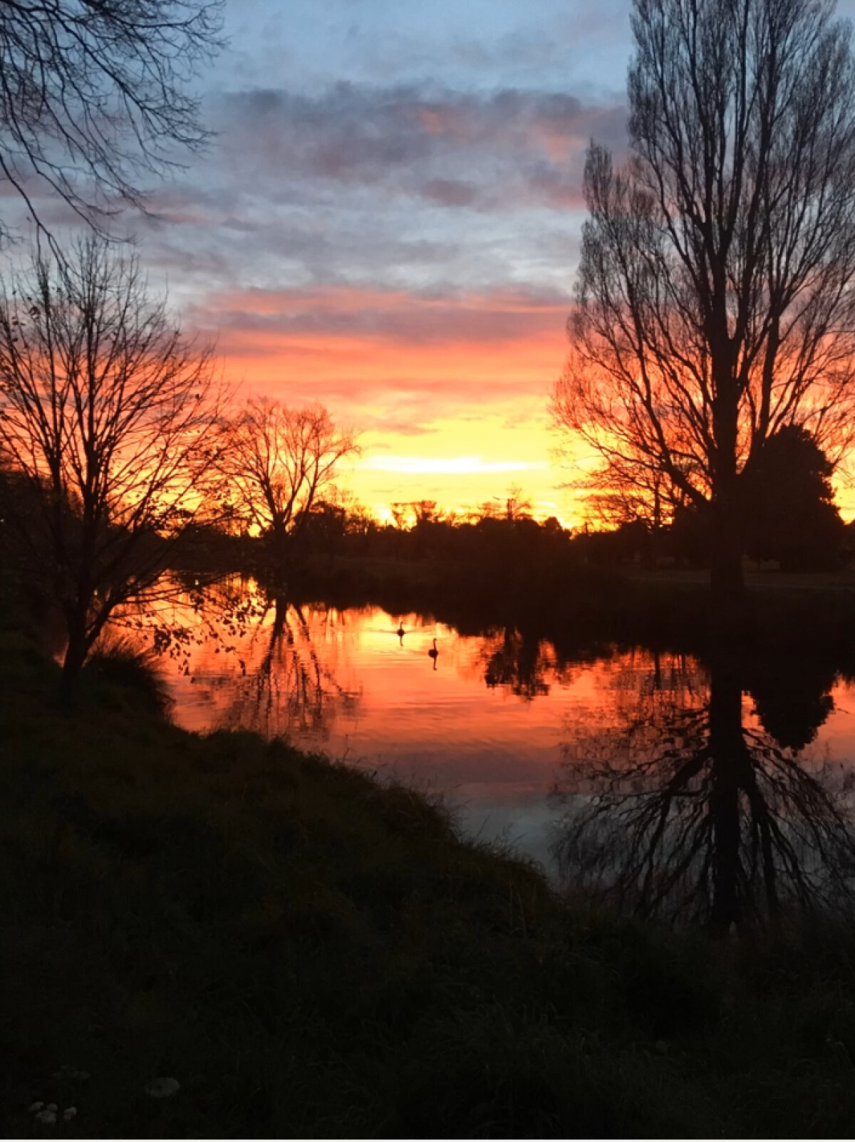 Sunset on the Avon River discoverywall.nz
