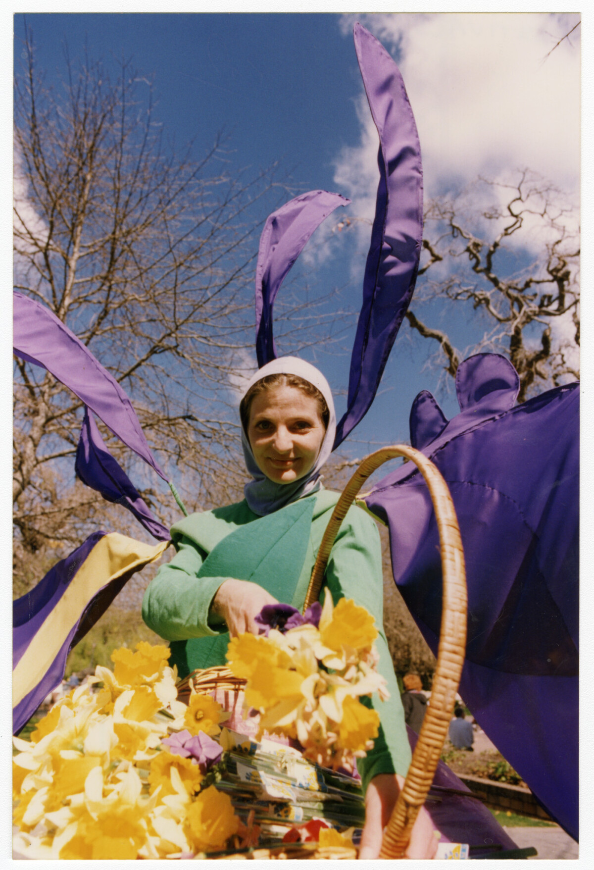 Daffodil lawn, North Hagley Park discoverywall.nz