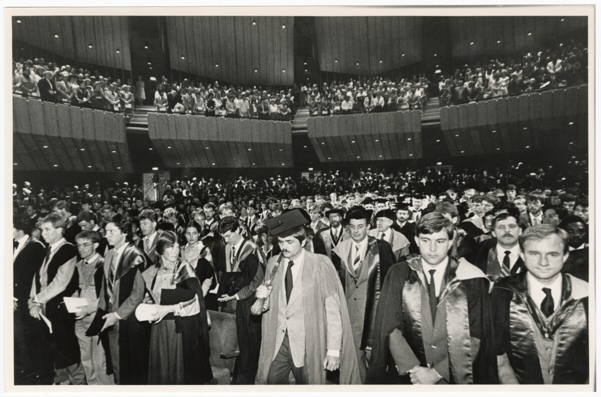 Pin oaks outside the Town Hall discoverywall.nz