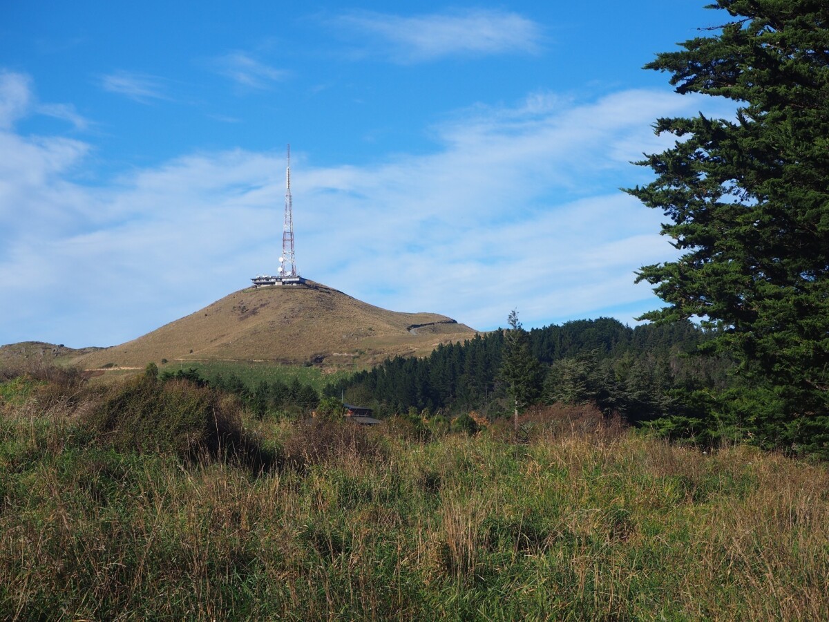 Sugarloaf discoverywall.nz