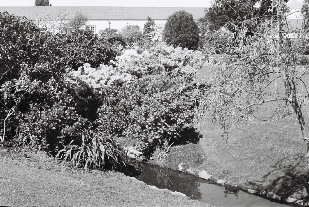 Couplands Garden discoverywall.nz