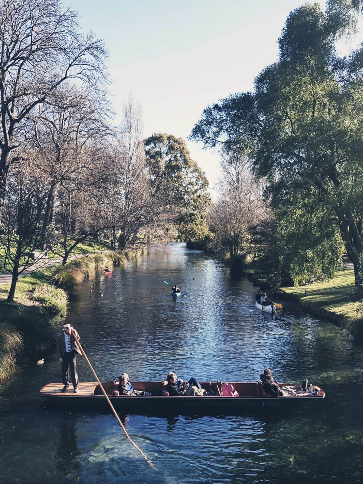 Punting on the Avon discoverywall.nz