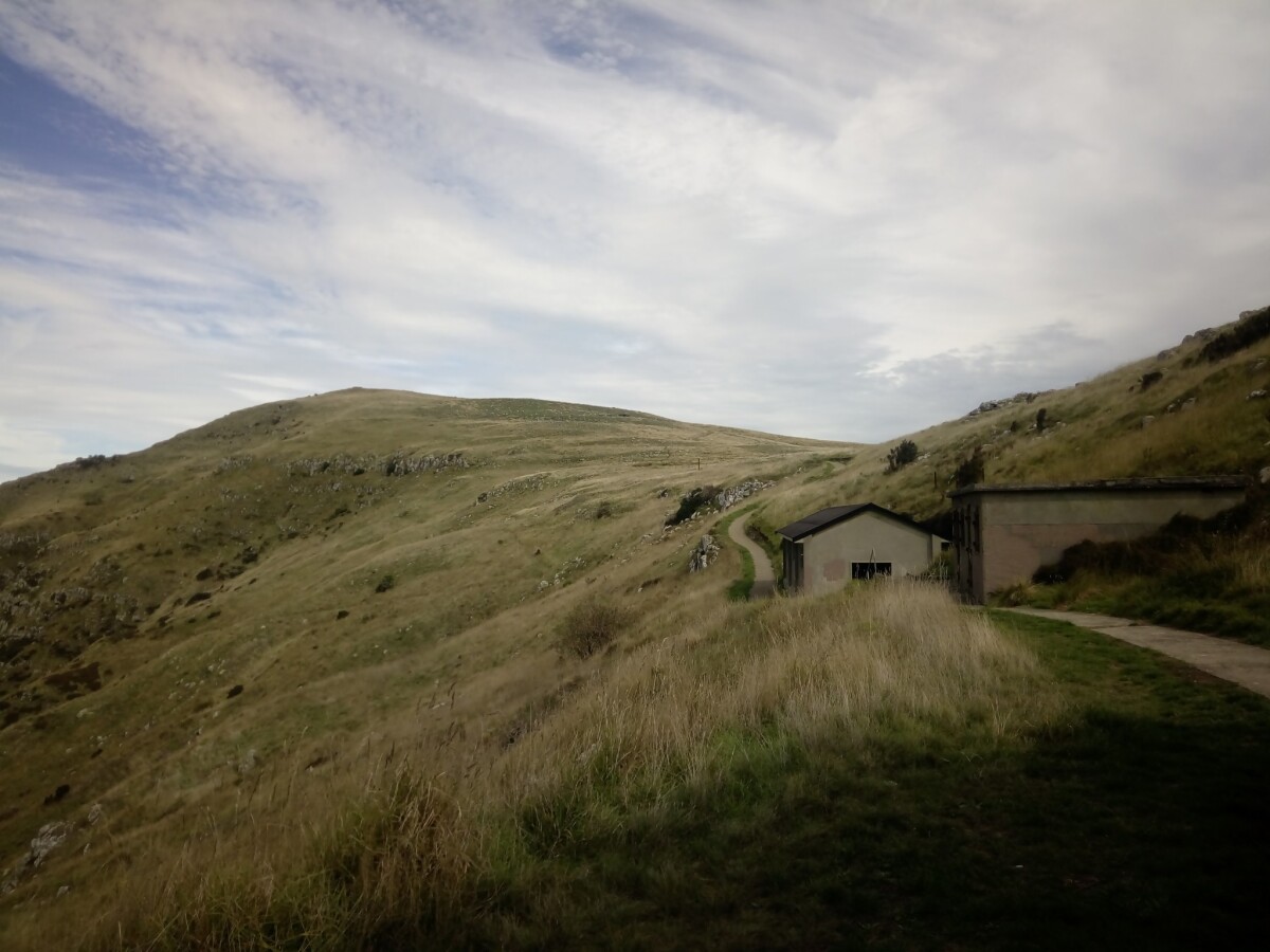 Godley Head discoverywall.nz