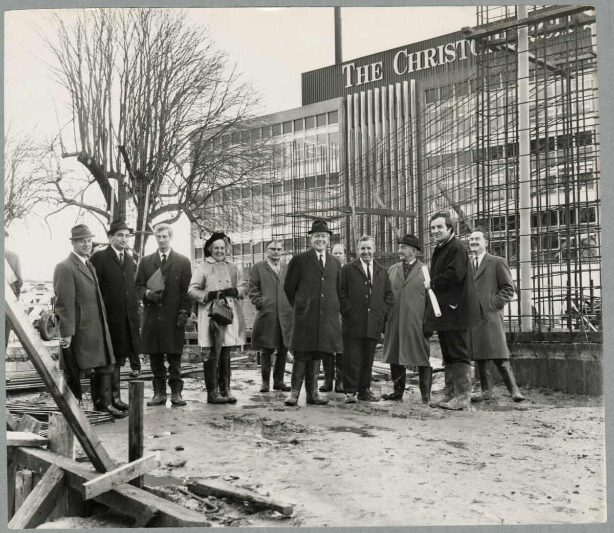 Pin oaks outside the Town Hall discoverywall.nz