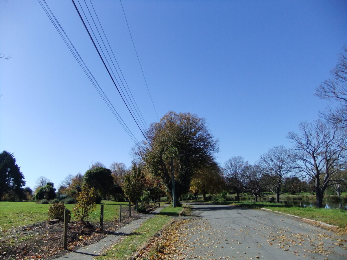 River Road discoverywall.nz