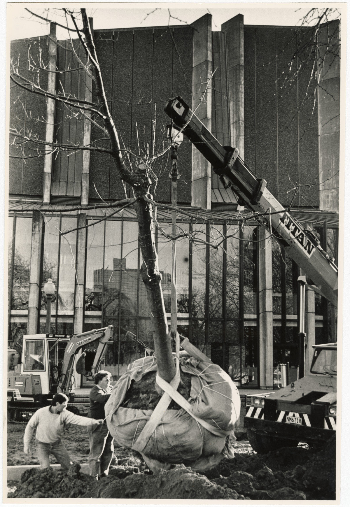 Inspection of the Town Hall building site discoverywall.nz