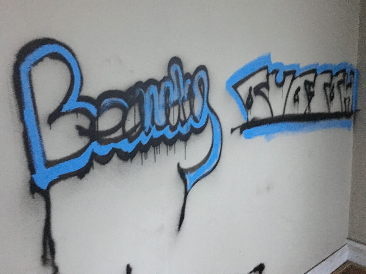 More wall art discoverywall.nz