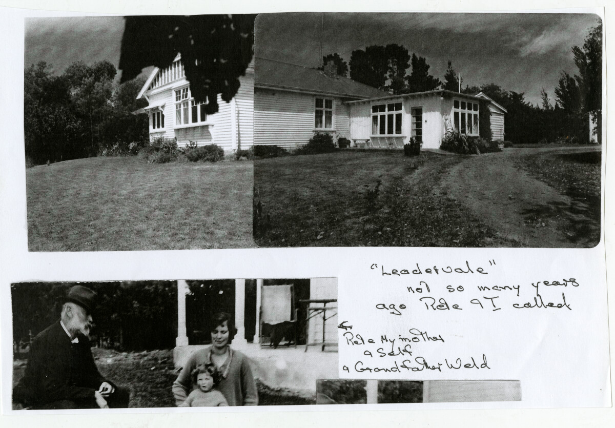 Leadervale Parnassus discoverywall.nz