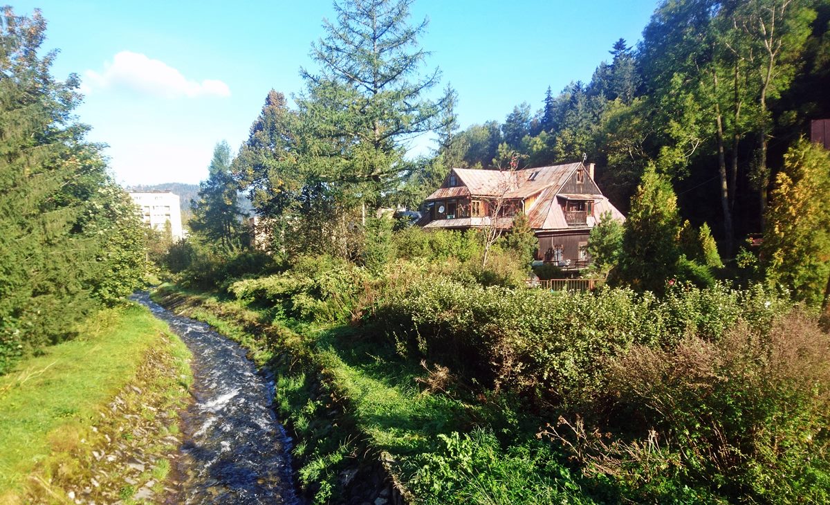 Zakopane real estate house for sale with Tatra View and great location