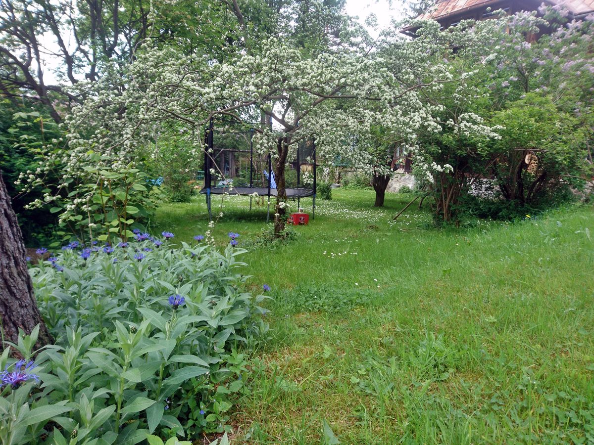 Zakopane real estate house for sale with Tatra View and great location