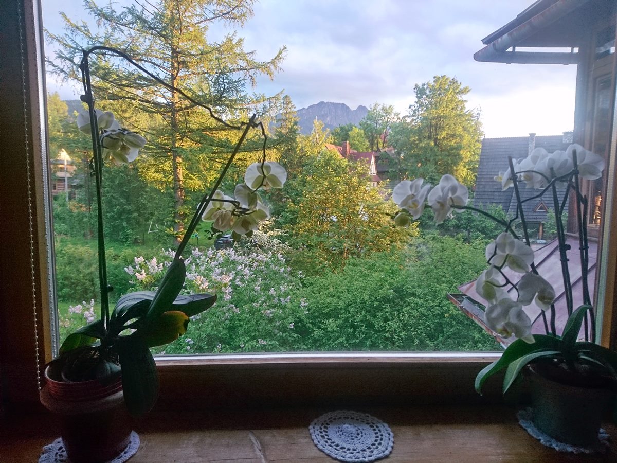 Zakopane real estate house for sale with Tatra View and great location